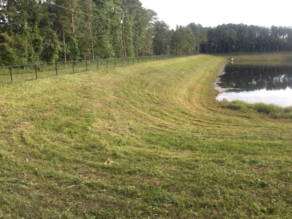 Retention Pond Vegetation Repair