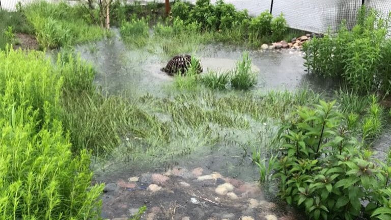 Stormwater Infiltration Assets - AQUALIS