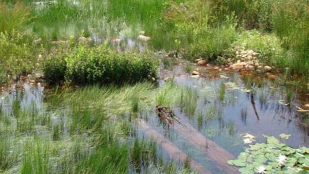 FEMA Floodplain Analysis - AQUALIS