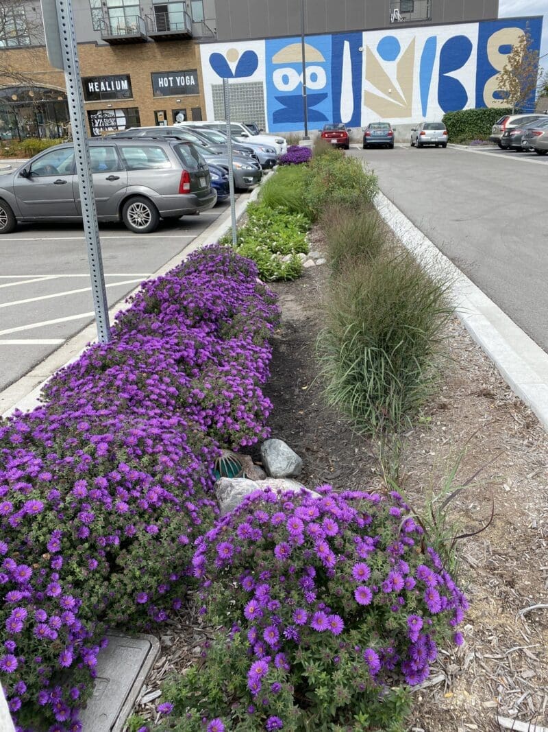 Green Stormwater Infrastructure Plan - AQUALIS