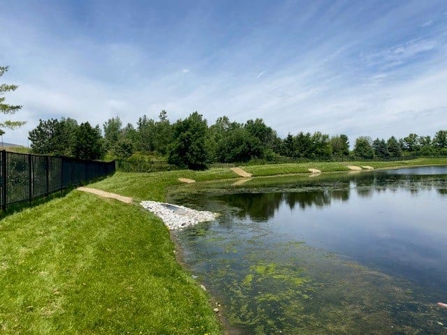 retention pond and grass shore