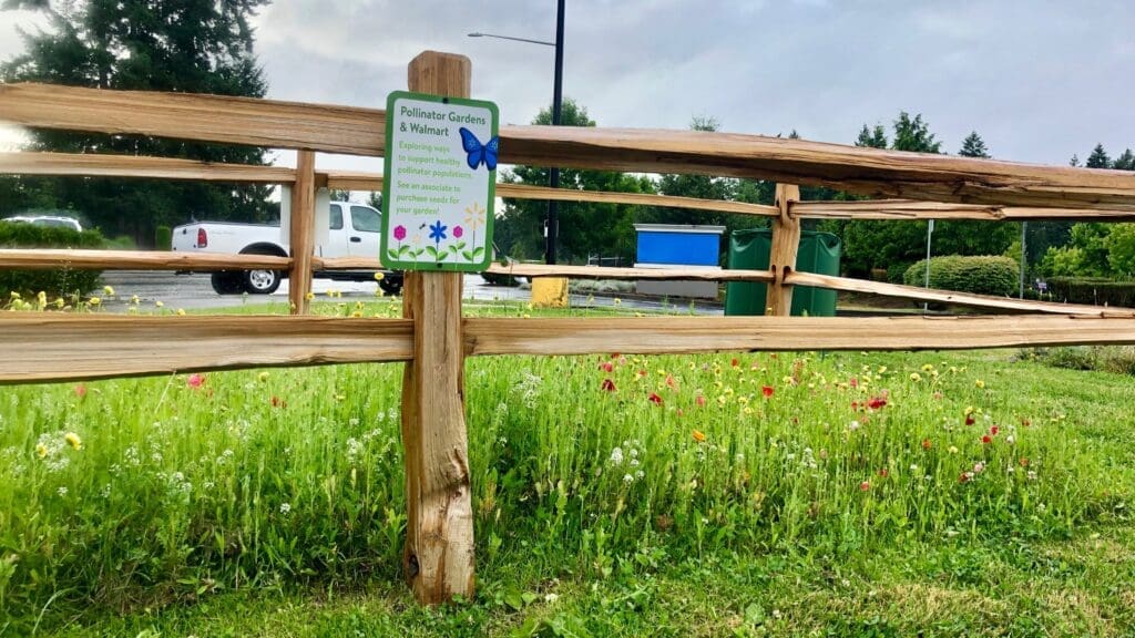 Rain Gardens - AQUALIS