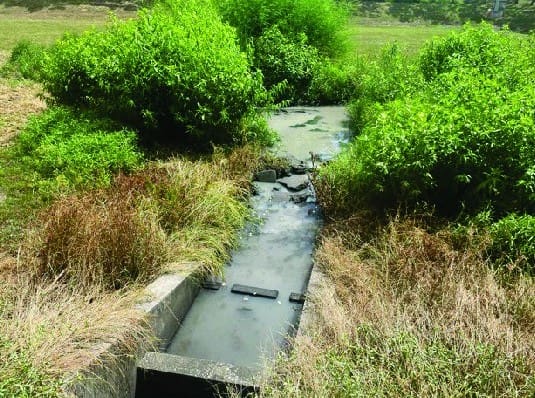 pond 4