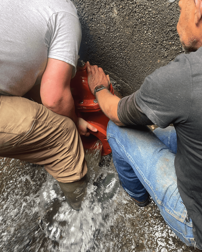 gate valve replacement