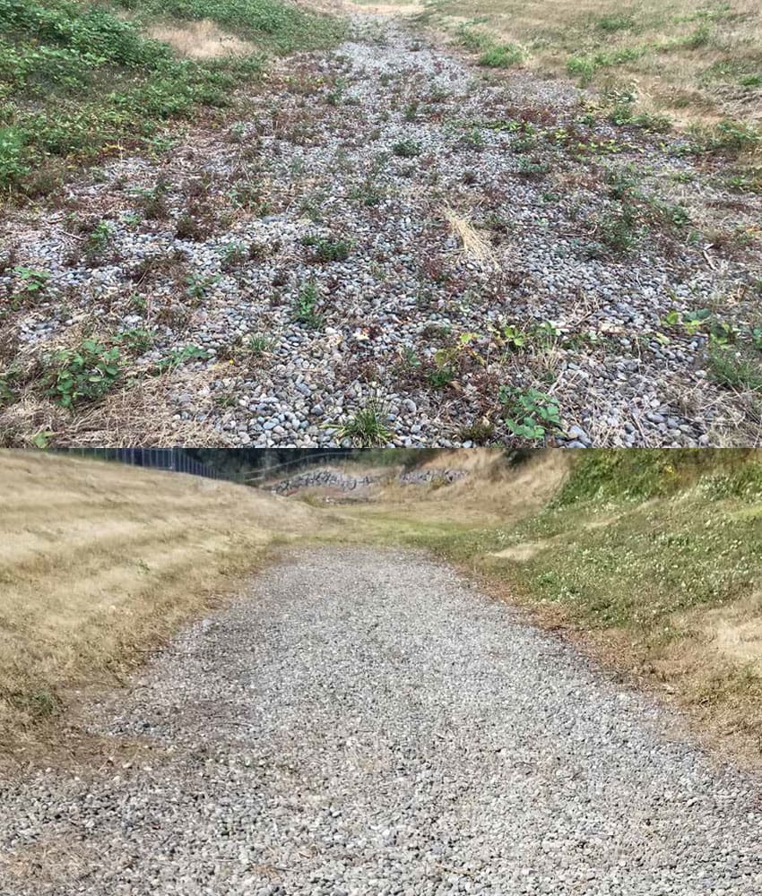 Infiltration Basin