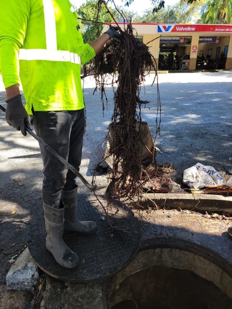 Roots Extracted