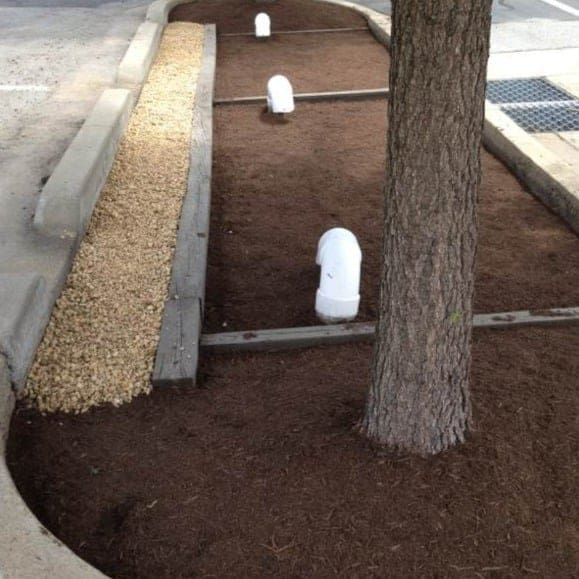 bioswale in a parking lot