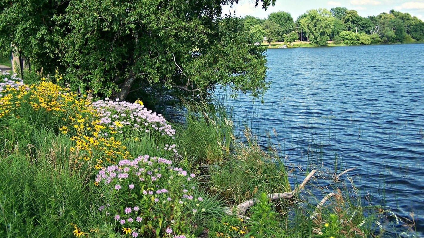 Water Management Services in Raleigh, NC - AQUALIS