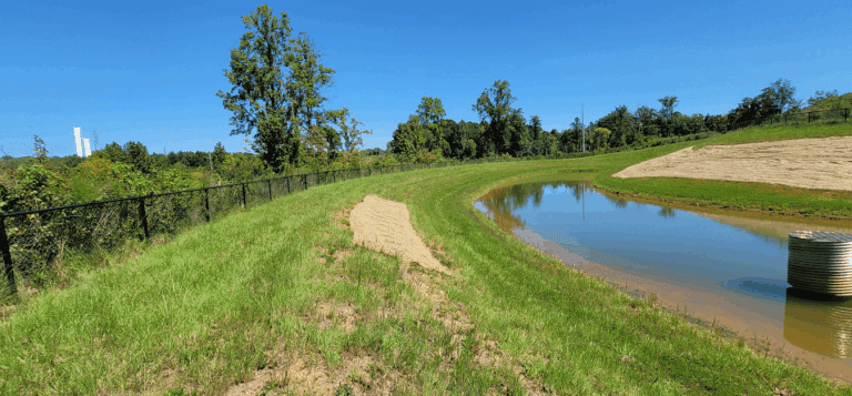 Pond 2 stablized